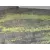 Paragolpes Delantero para Audi A7 Sportback (4Ga, 4Gf)