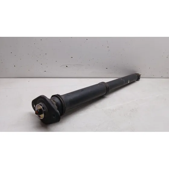 Amortiguador Trasero Izquierdo para Mg Zs Suv (Azs1)