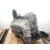 Caja Cambios para Toyota Auris (_E15_)