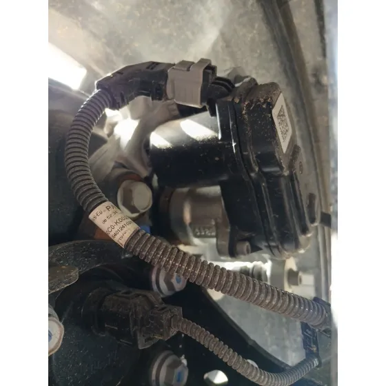 Pinza Freno Trasera Izquierda para Toyota Yaris (_P21_, _Pa1_, _Ph1_)