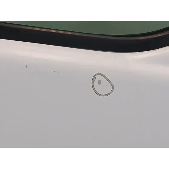 Puerta Delantera Derecha para Nissan Primastar Furgoneta (X83)