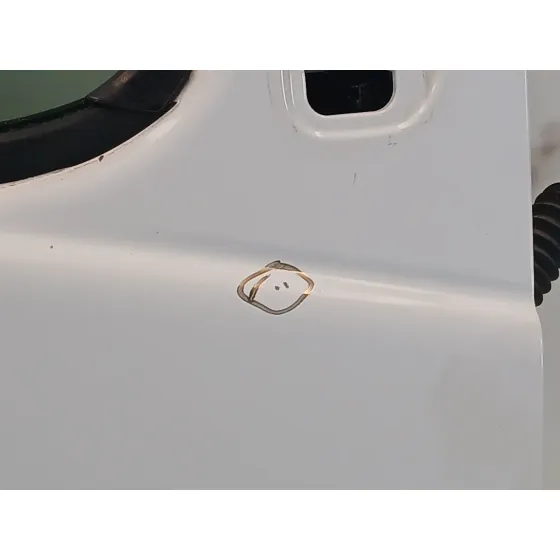 Puerta Delantera Derecha para Nissan Primastar Furgoneta (X83)