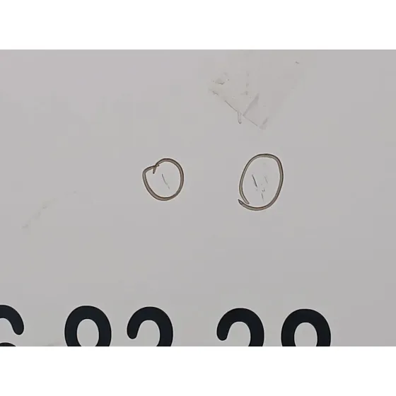 Puerta Trasera Derecha para Nissan Primastar Furgoneta (X83)