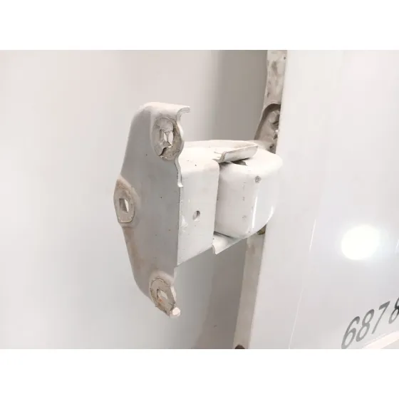 Puerta Trasera Izquierda para Nissan Primastar Furgoneta (X83)