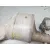 Catalizador para Audi A4 B9 (8W2, 8Wc)