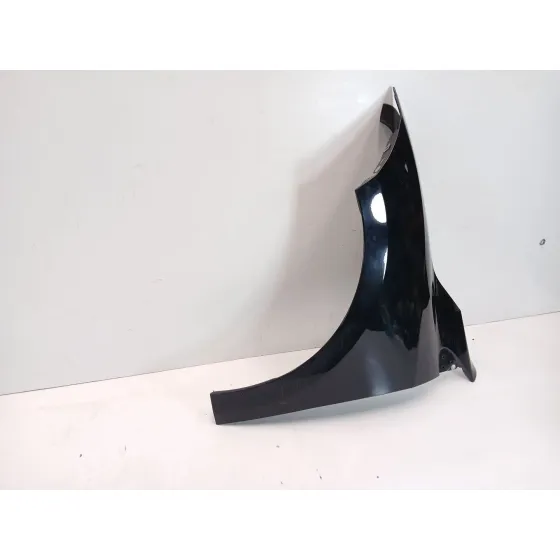 Aleta Delantera Izquierda para Renault Megane Iii Coupe (Dz0/1_)