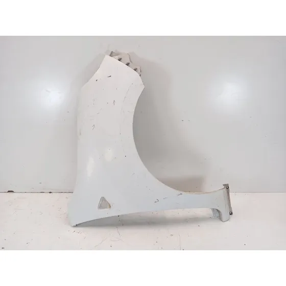 Aleta Delantera Derecha para Renault Kangoo / Grand Kangoo Ii (Kw0/1_)