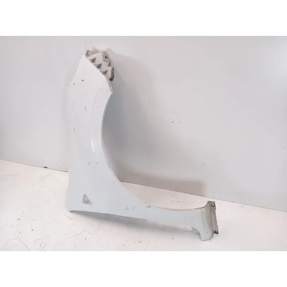 Aleta Delantera Derecha para Renault Kangoo / Grand Kangoo Ii (Kw0/1_)