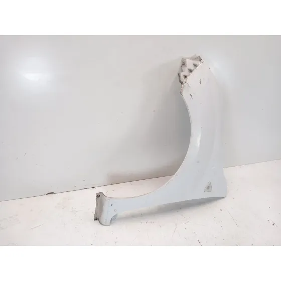Aleta Delantera Izquierda para Renault Kangoo / Grand Kangoo Ii (Kw0/1_)