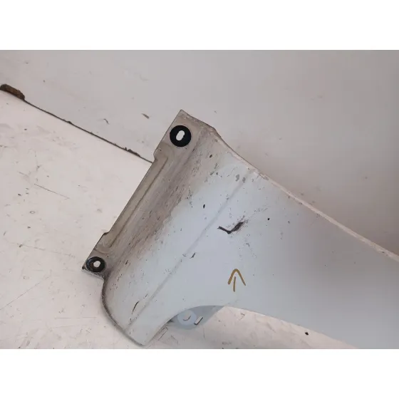 Aleta Delantera Izquierda para Renault Kangoo / Grand Kangoo Ii (Kw0/1_)