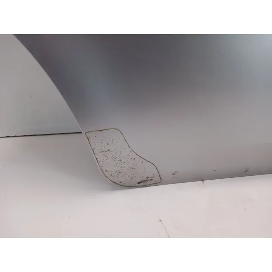 Puerta Trasera Derecha para Nissan Cube (Z12)