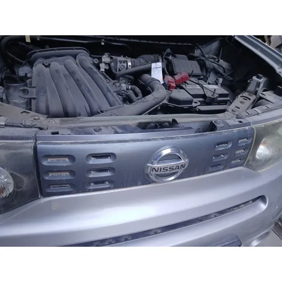 Rejilla Delantera para Nissan Cube (Z12)