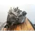 Caja Cambios para Kia Cee'd Hatchback (Ed)