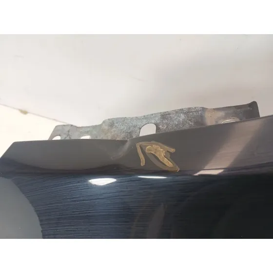 Aleta Delantera Izquierda para Ford Kuga Ii (Dm2)
