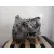Caja Cambios para Ford Kuga Ii (Dm2)