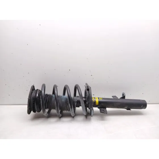 Amortiguador Delantero Derecho para Ford Kuga Ii (Dm2)