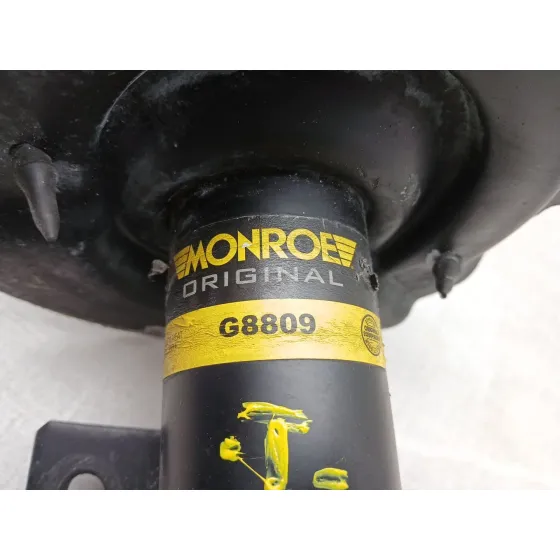 Amortiguador Delantero Derecho para Ford Kuga Ii (Dm2)