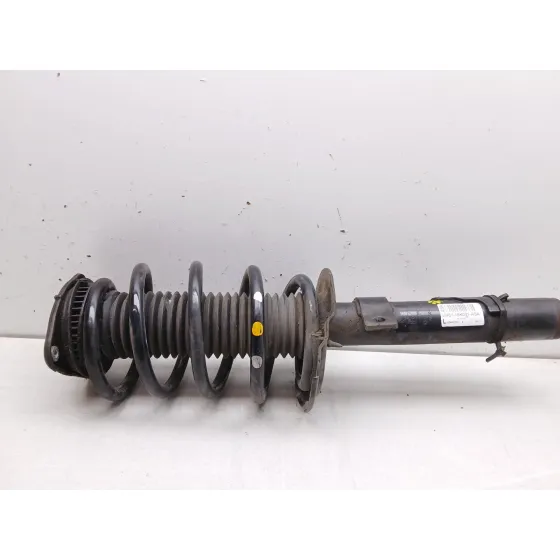 Amortiguador Delantero Izquierdo para Ford Kuga Ii (Dm2)