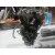 Despiece Motor para Citroën C4 Picasso