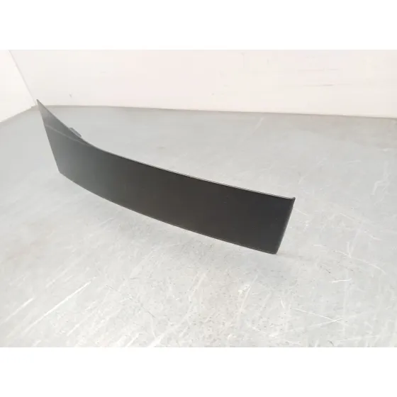 Moldura Puerta Trasera Izquierda para Volkswagen Passat B6 (3C2)