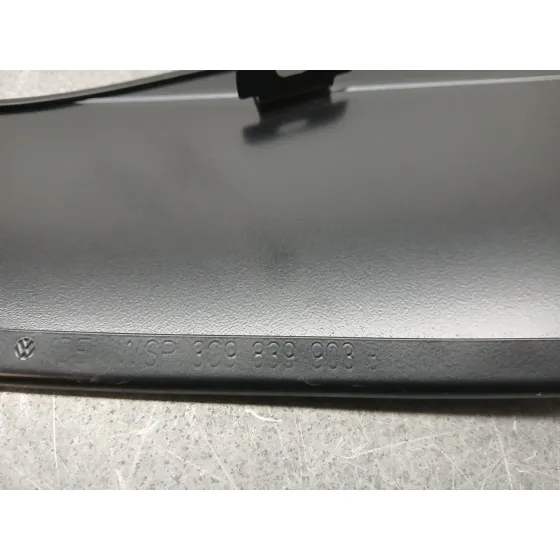 Moldura Puerta Trasera Izquierda para Volkswagen Passat B6 (3C2)