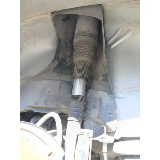 Amortiguador Trasero Izquierdo para Mercedes-Benz Clase S (W220, V220)