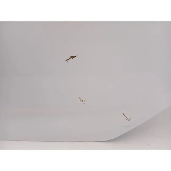 Puerta Trasera Izquierda para Kia Carens Iv