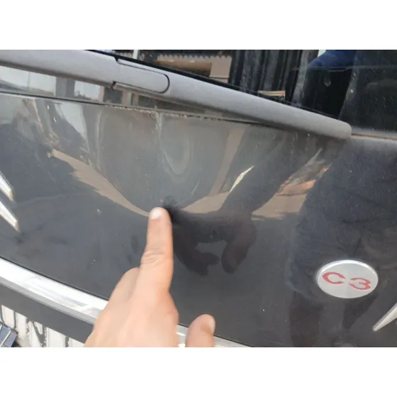Porton Trasero para Citroën C3 Picasso (Sh_)