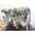 Despiece Motor para Toyota Corolla Verso (Zer_, Zze12_, R1_)