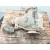 Diferencial Trasero para Mitsubishi Montero Iii Canvas Top (V6_W, V7_W)