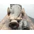 Diferencial Trasero para Mitsubishi Montero Iii Canvas Top (V6_W, V7_W)