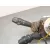 Mando Multifuncion para Fiat Bravo (198)