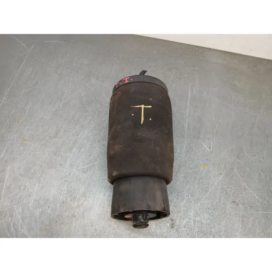Amortiguador Trasero Izquierdo para Bmw X5 (E53)