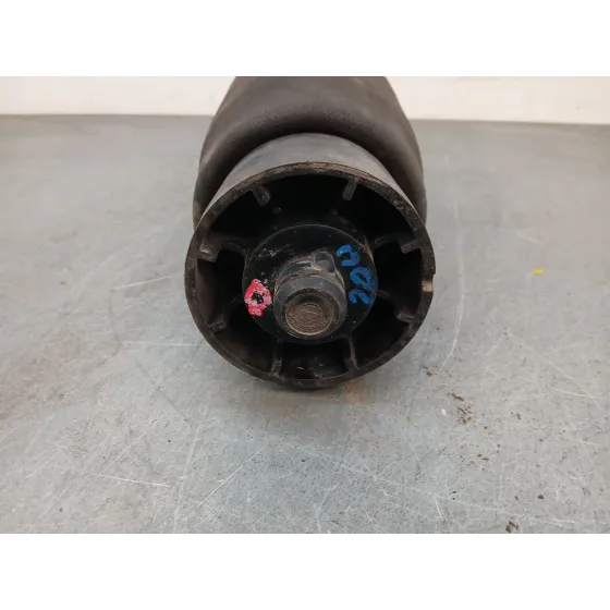 Amortiguador Trasero Izquierdo para Bmw X5 (E53)