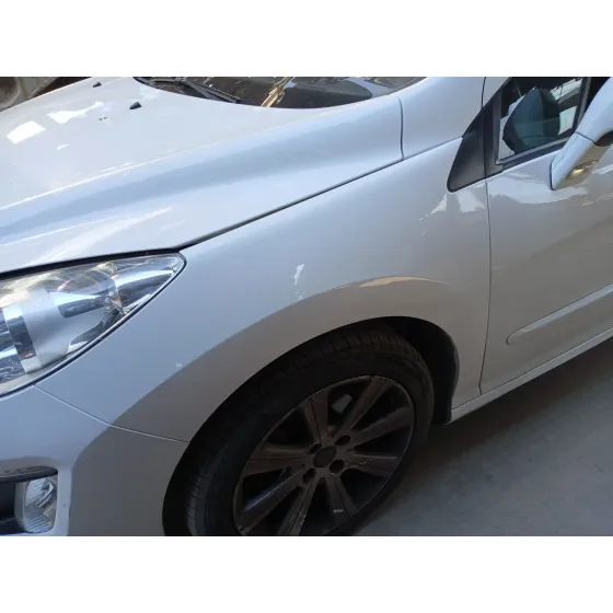 Aleta Delantera Izquierda para Peugeot 308 I (4A_, 4C_)