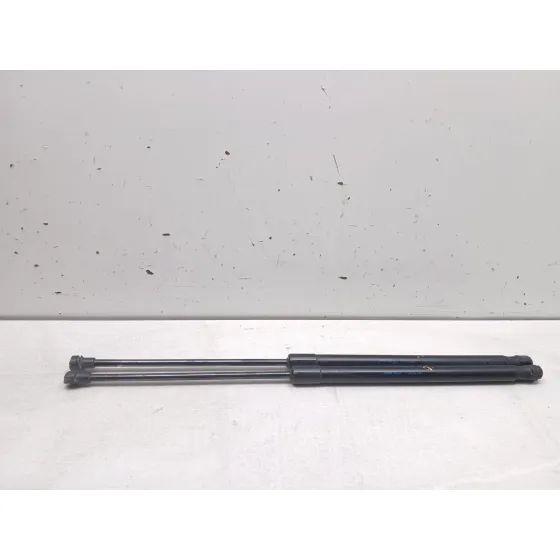 Amortiguadores Maletero / Porton para Seat Leon (1P1)
