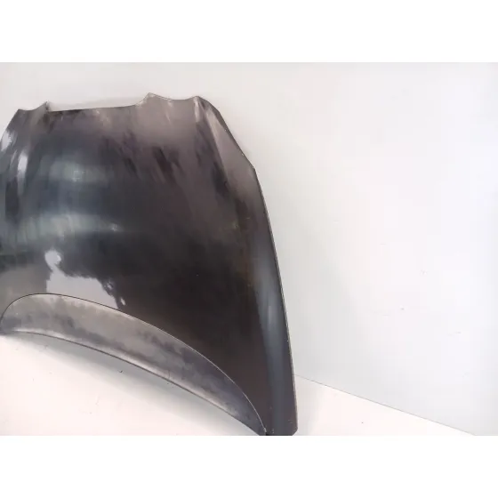 Capot para Seat Leon (1P1)