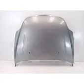 Capot para Ford Mondeo Iv (Ba7)