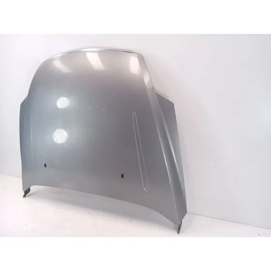 Capot para Ford Mondeo Iv (Ba7)