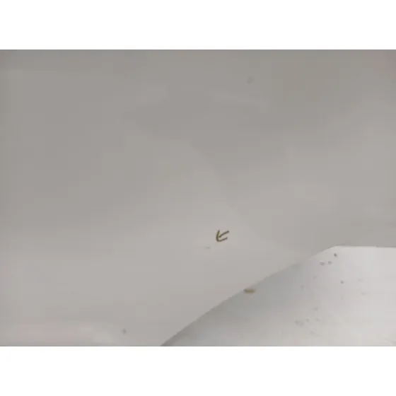 Puerta Trasera Izquierda para Kia Rio Iii (Ub)