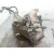 Caja Cambios para Jaguar X-Type I (X400)