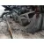Motor Completo para Seat Exeo (3R2)