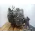 Caja Cambios para Toyota Auris (_E18_)