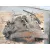 Caja Cambios para Opel Zafira B Furgoneta/Monovolumen (A05)