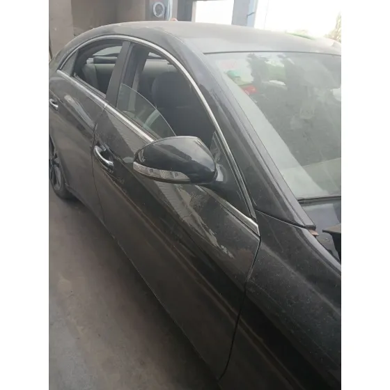 Puerta Delantera Derecha para Mercedes-Benz Cls (C219)