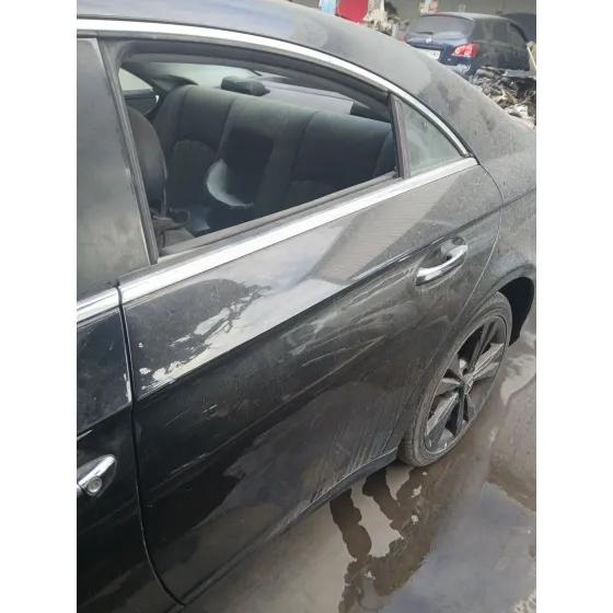 Puerta Trasera Izquierda para Mercedes-Benz Cls (C219)