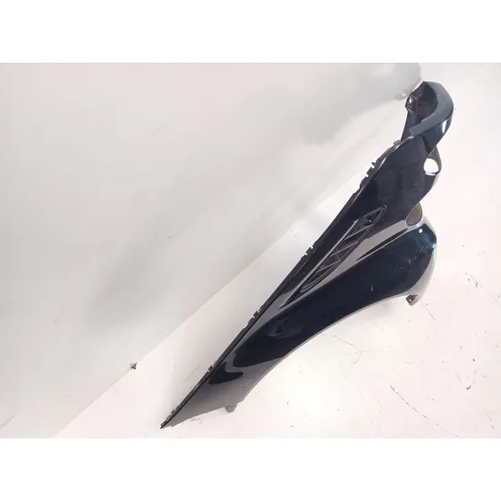 Aletin Trasero Izquierdo para Smart Fortwo Coupe (451)