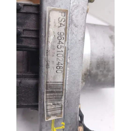 Bomba Direccion para Peugeot 307 (3A/C)