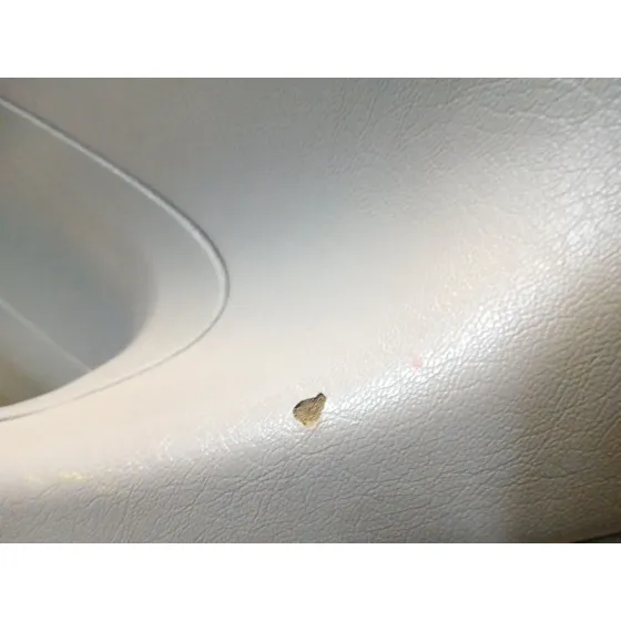 Puerta Trasera Derecha para Mercedes-Benz Clase M (W163)