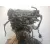 Motor Completo para Porsche Cayenne (9Pa)